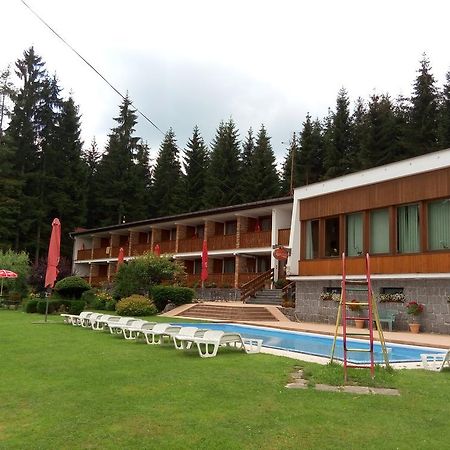 Lesni Pension Hotel Lipno nad Vltavou Exterior photo