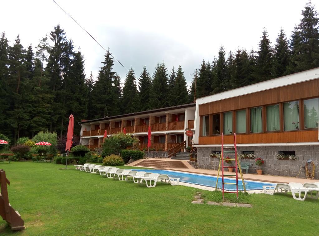 Lesni Pension Hotel Lipno nad Vltavou Exterior photo