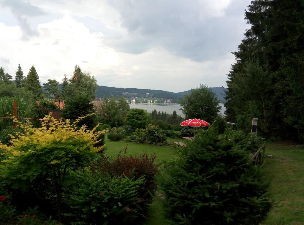 Lesni Pension Hotel Lipno nad Vltavou Exterior photo