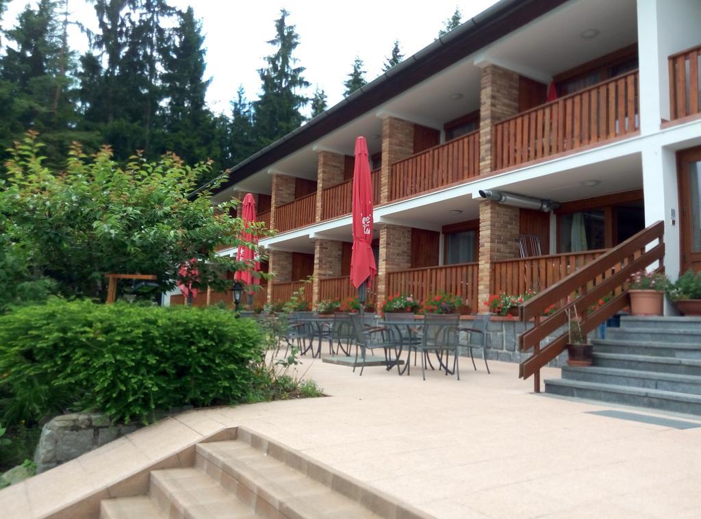 Lesni Pension Hotel Lipno nad Vltavou Exterior photo