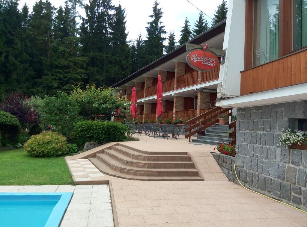 Lesni Pension Hotel Lipno nad Vltavou Exterior photo