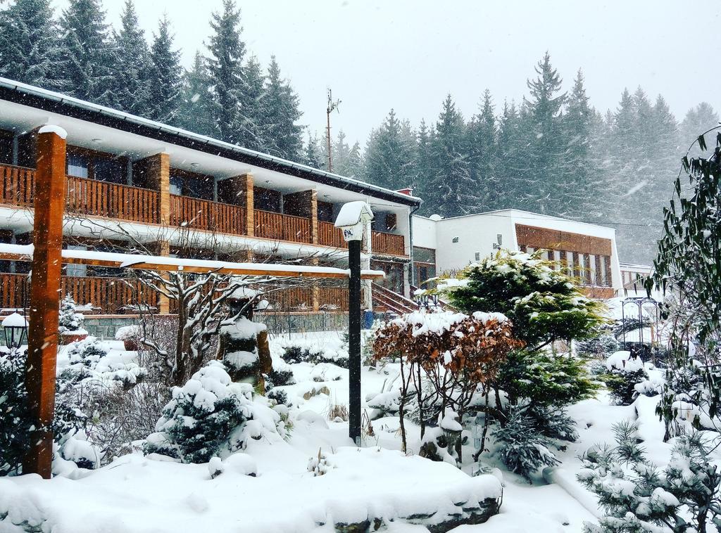 Lesni Pension Hotel Lipno nad Vltavou Exterior photo