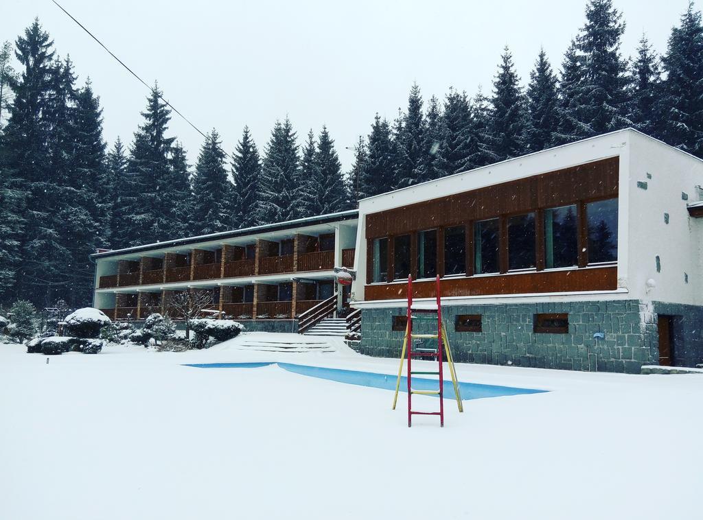 Lesni Pension Hotel Lipno nad Vltavou Exterior photo