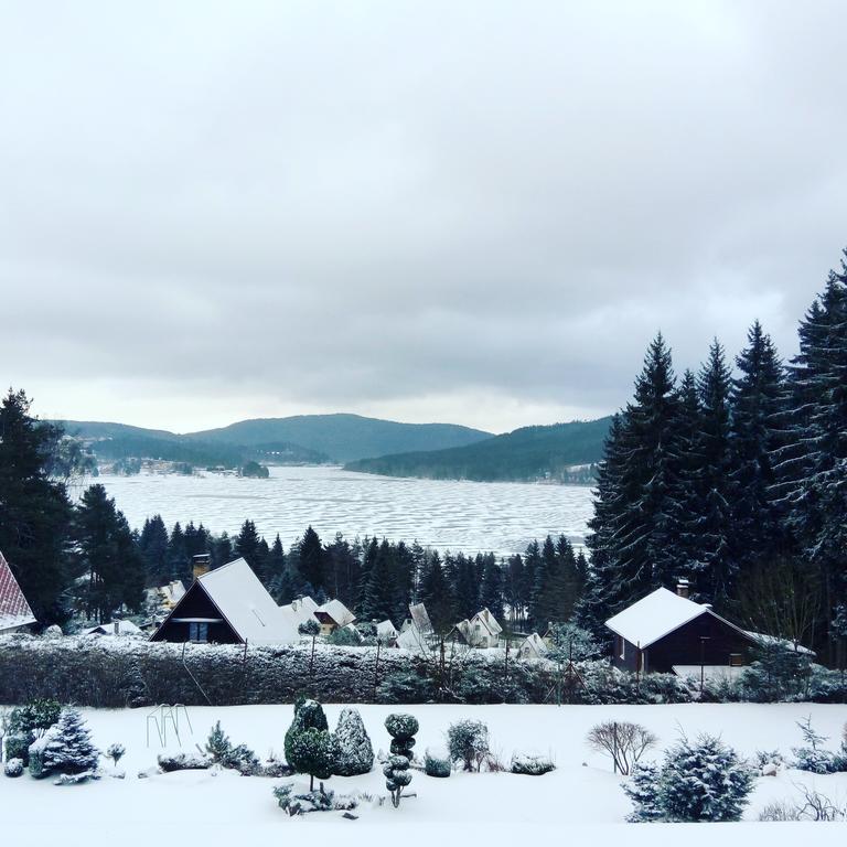 Lesni Pension Hotel Lipno nad Vltavou Exterior photo